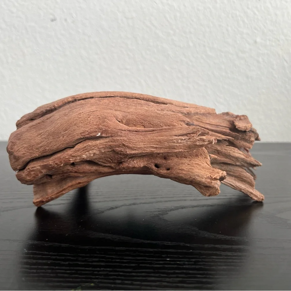 Natural Driftwood Sculpture